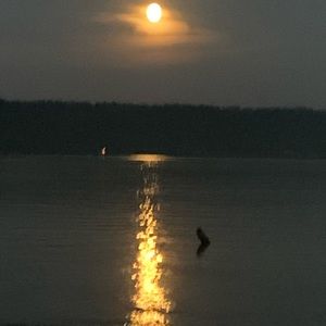 Meet your Posher, Shane